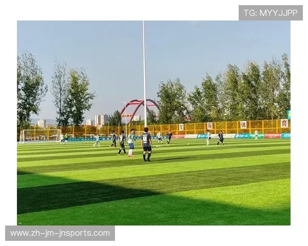 足球赛事中的赛场设备与球员保障